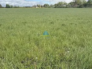 Prodej pole, Františkovy Lázně - Horní Lomany, Americká, 584 m2