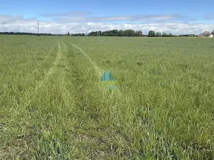 Prodej pole, Františkovy Lázně - Horní Lomany, Americká, 584 m2