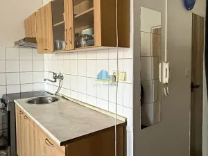Prodej bytu 1+1, Plesná, Světlá, 35 m2