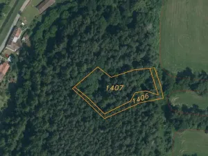 Prodej lesa, Popovice, 3093 m2