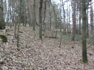 Prodej lesa, Křečovice - Nahoruby, 28299 m2