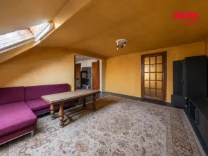 Prodej obchodního prostoru, Týnec nad Labem, Havlíčkova, 207 m2