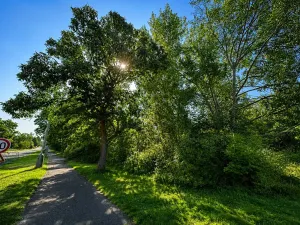 Prodej pozemku pro bydlení, Praha - Klánovice, V koutku, 924 m2