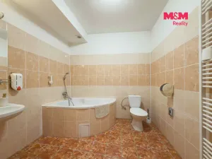 Pronájem ubytování, Karviná - Lázně Darkov, Lázeňská, 650 m2