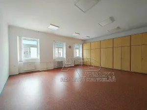 Pronájem kanceláře, České Budějovice, Kanovnická, 210 m2