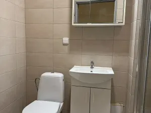 Pronájem bytu 1+1, Liberec, Pražská, 42 m2