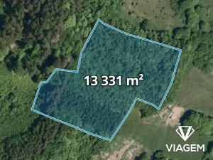 Prodej lesa, Vsetín, Rokytnice, 13331 m2