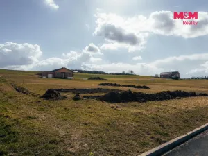 Prodej rodinného domu, Janovice nad Úhlavou, 225 m2