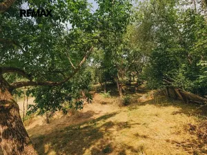 Prodej rodinného domu, Dlouhá Loučka, 192 m2