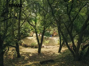 Prodej rodinného domu, Dlouhá Loučka, 192 m2