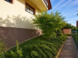 Prodej rodinného domu, Heřmanův Městec, Za Pektinou, 162 m2