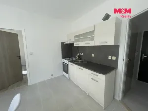Prodej bytu 1+1, Krupka - Maršov, Karla Čapka, 35 m2
