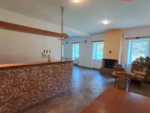 Prodej ubytování, Široká Niva, 300 m2