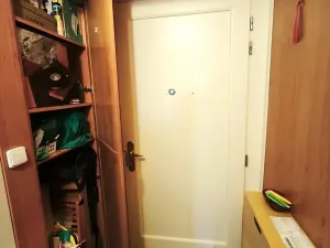 Pronájem bytu 1+kk, Praha - Vinohrady, Koperníkova, 34 m2