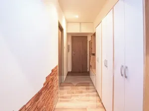Pronájem bytu 3+kk, Plzeň, Francouzská třída, 52 m2