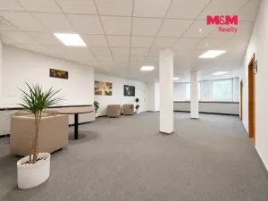 Pronájem obchodního prostoru, Ústí nad Orlicí, T. G. Masaryka, 28 m2