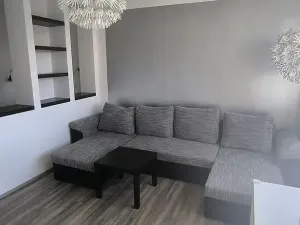 Pronájem bytu 2+1, Cheb, Dvořákova, 62 m2
