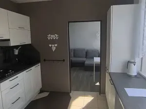 Pronájem bytu 2+1, Cheb, Dvořákova, 62 m2