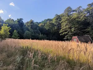 Pronájem zahrady, Ostrava, Podvrší, 3278 m2