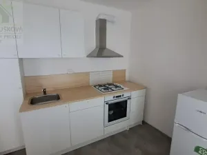 Pronájem bytu 1+1, Ostrava, Pavlovova, 39 m2