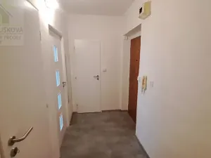 Pronájem bytu 1+1, Ostrava, Pavlovova, 39 m2