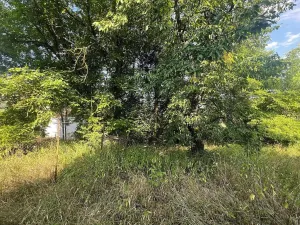 Prodej pozemku pro bydlení, Týnec nad Sázavou, 3975 m2