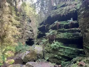 Prodej rodinného domu, Děčín, 450 m2
