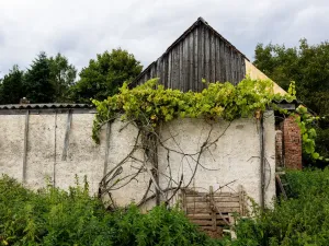 Prodej pozemku, Litíč - Nouzov, 3288 m2