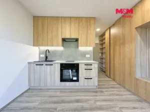 Pronájem bytu 1+kk, České Budějovice - České Budějovice 5, Dobrovodská, 20 m2