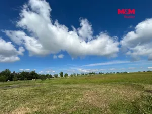 Prodej pozemku pro bydlení, Větřkovice, 4806 m2