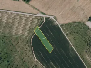Prodej sadu/vinice, Kobylí, 17433 m2
