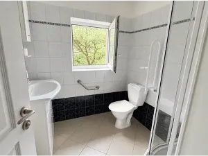 Pronájem rodinného domu, Čtyřkoly, 243 m2