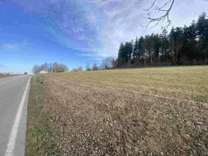Dražba louky, Černá v Pošumaví, 2972 m2