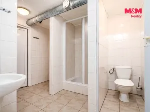 Prodej rodinného domu, Horní Třešňovec, 847 m2