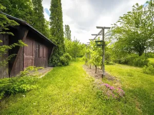 Pronájem zahrady, Brno, Terezy Novákové, 508 m2