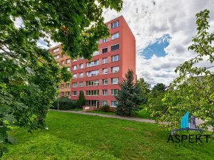 Pronájem bytu 1+kk, Praha - Podolí, Kaplická, 27 m2