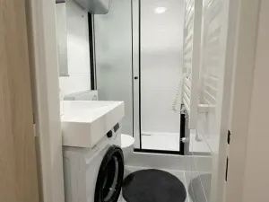 Pronájem bytu 2+kk, Praha, Sokolská, 30 m2