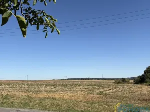 Prodej pozemku pro bydlení, Chroustovice, 8572 m2