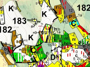 Dražba lesa, Volfířov, 710 m2