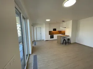 Pronájem bytu 3+kk, Praha - Řeporyje, Haenkeho, 80 m2