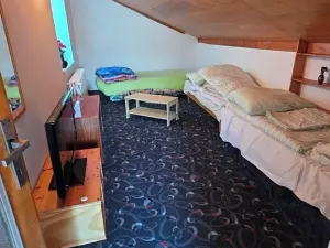 Prodej rodinného domu, Havířov, Ovocná, 355 m2