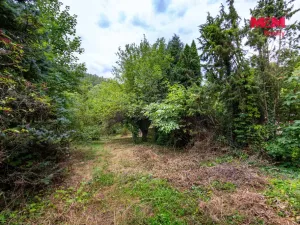 Prodej chaty, Šternberk, 20 m2