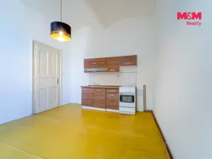 Pronájem bytu 2+1, Plzeň - Vnitřní Město, Rooseveltova, 81 m2