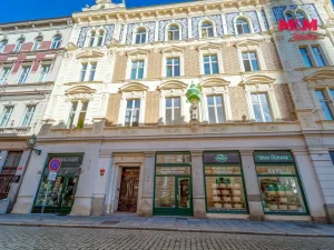 Pronájem bytu 2+1, Plzeň - Vnitřní Město, Rooseveltova, 81 m2