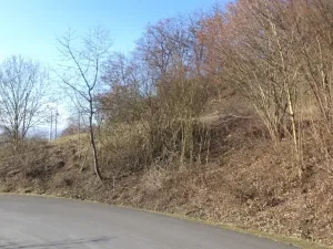 Dražba zahrady, Trmice, 640 m2