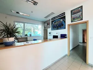 Pronájem výrobních prostor, Tečovice, 706 m2