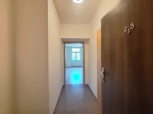 Pronájem bytu 2+kk, Praha - Nusle, Jaurisova, 40 m2