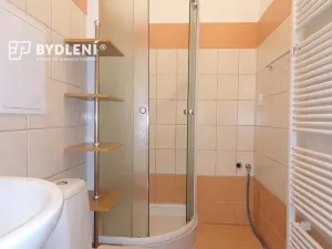 Pronájem bytu 1+1, Teplice, Revoluční, 48 m2