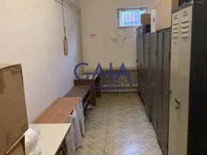 Prodej obchodního prostoru, Jemnice, Tyršova, 481 m2