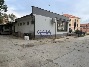 Prodej obchodního prostoru, Jemnice, Tyršova, 481 m2